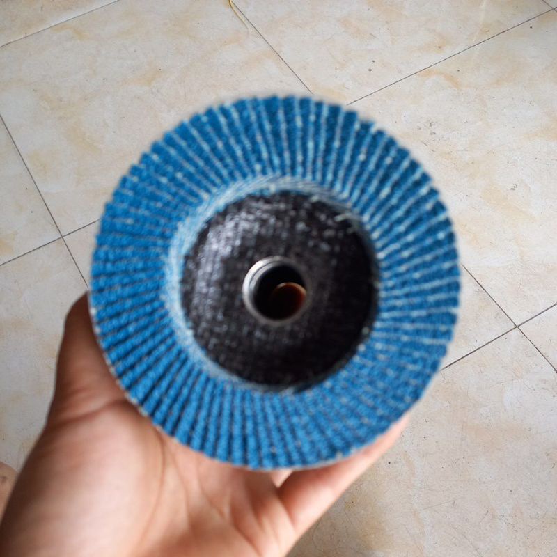 Nhám xếp xanh