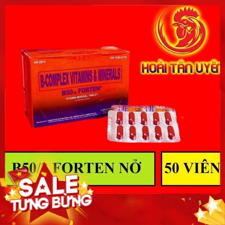 Combo 5 vĩ 50 viên b50/2 forten tăng cơ, nở khung xương, tăng nước máu