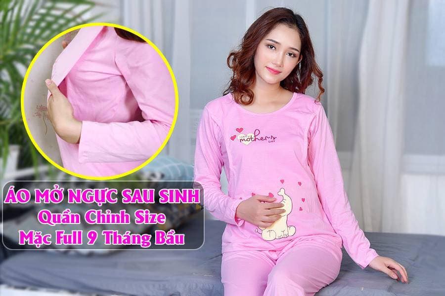 Bộ bầu và sau sinh hình con voi