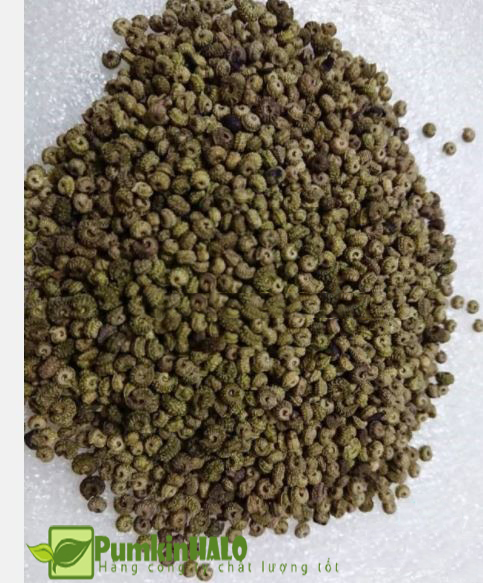 [HCM]hạt giống sương sâm ta dễ trồng độ nảy mầm 70%-gói 15 hạt và gói 5gram 250 hạt