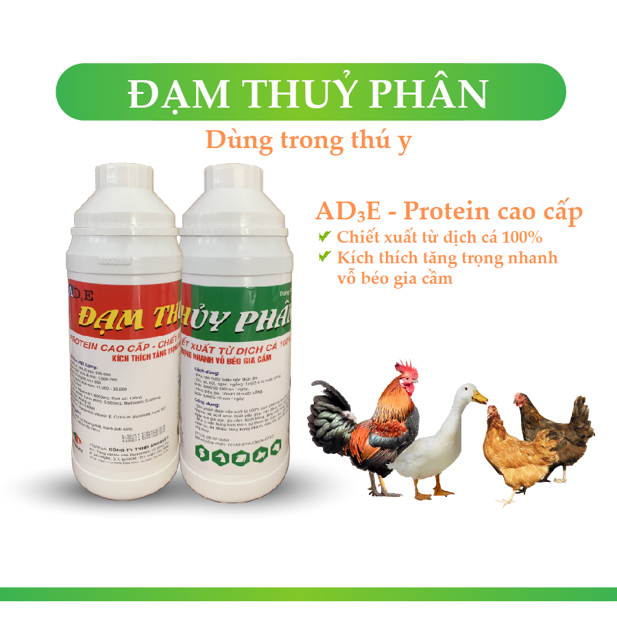 Đạm thuỷ phân thú y annavet đạm cho gà vịt , bung đùi tăng trọng kích ra lông vàng da vàng chân kích màu đỏ tích bung lông bật cựa