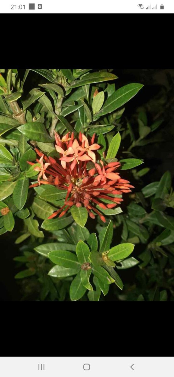 U4wb63jPUWSybUbjPqmM_simg_d0daf0_800x1200_max.jpg
