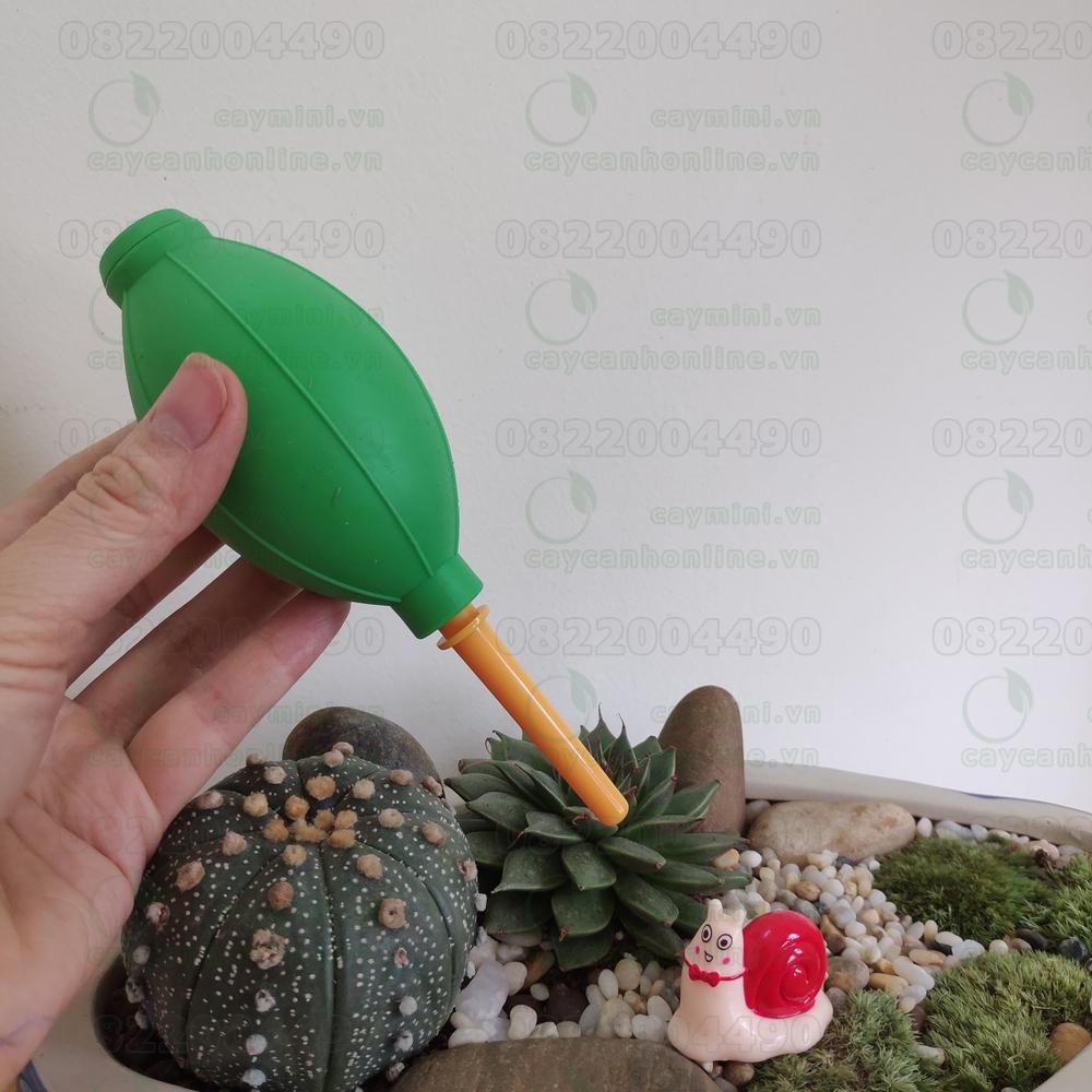 Bóng cao su xịt bụi
