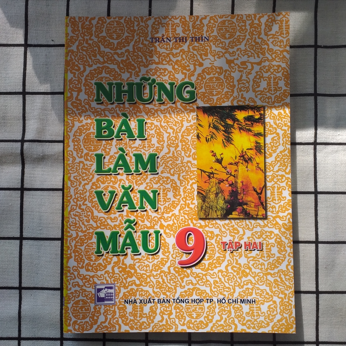 Những bài làm văn mẫu 9