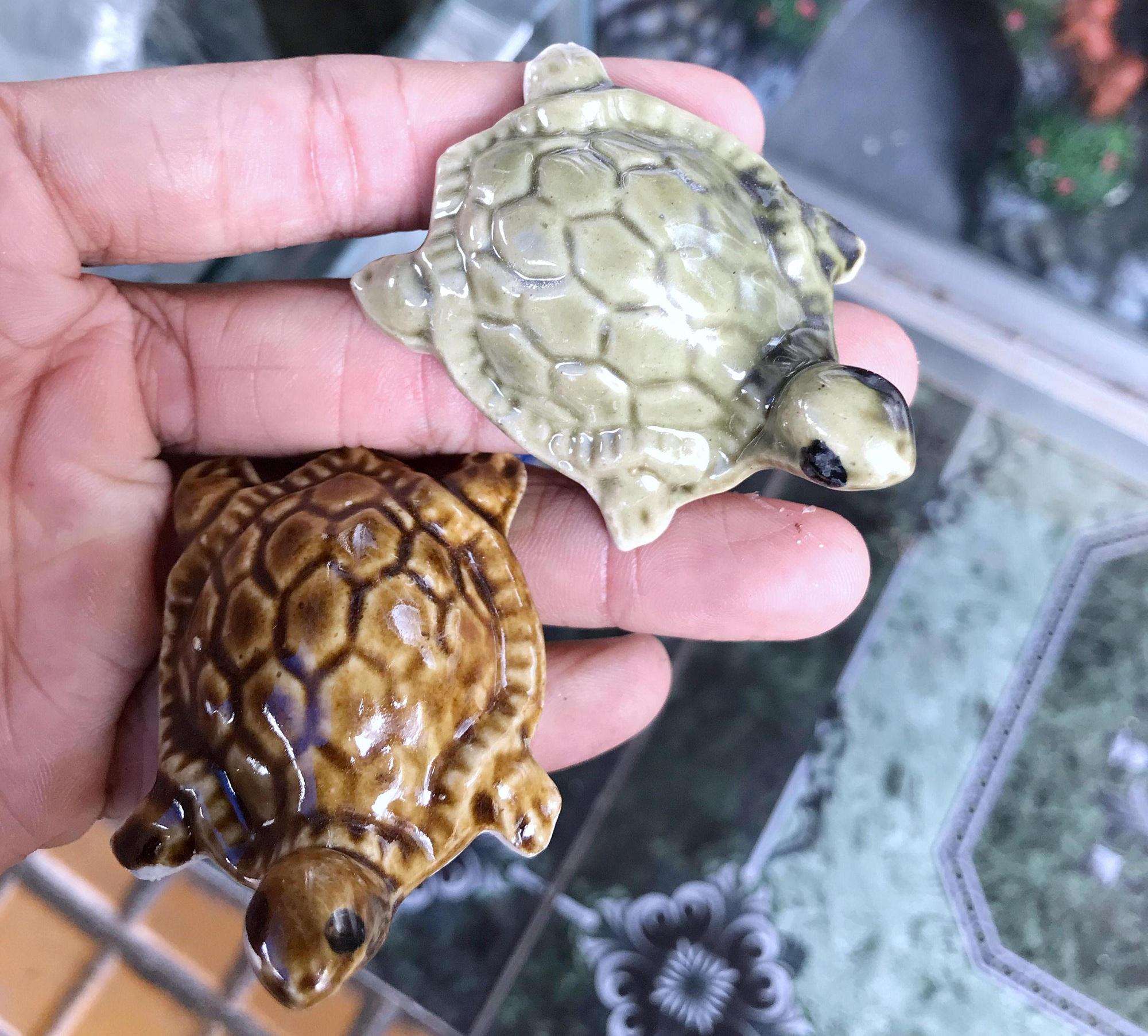 "Hoàn tiền đến 10%" RÙA NỔI TRANG TRÍ HỒ CÁ NON BỘ