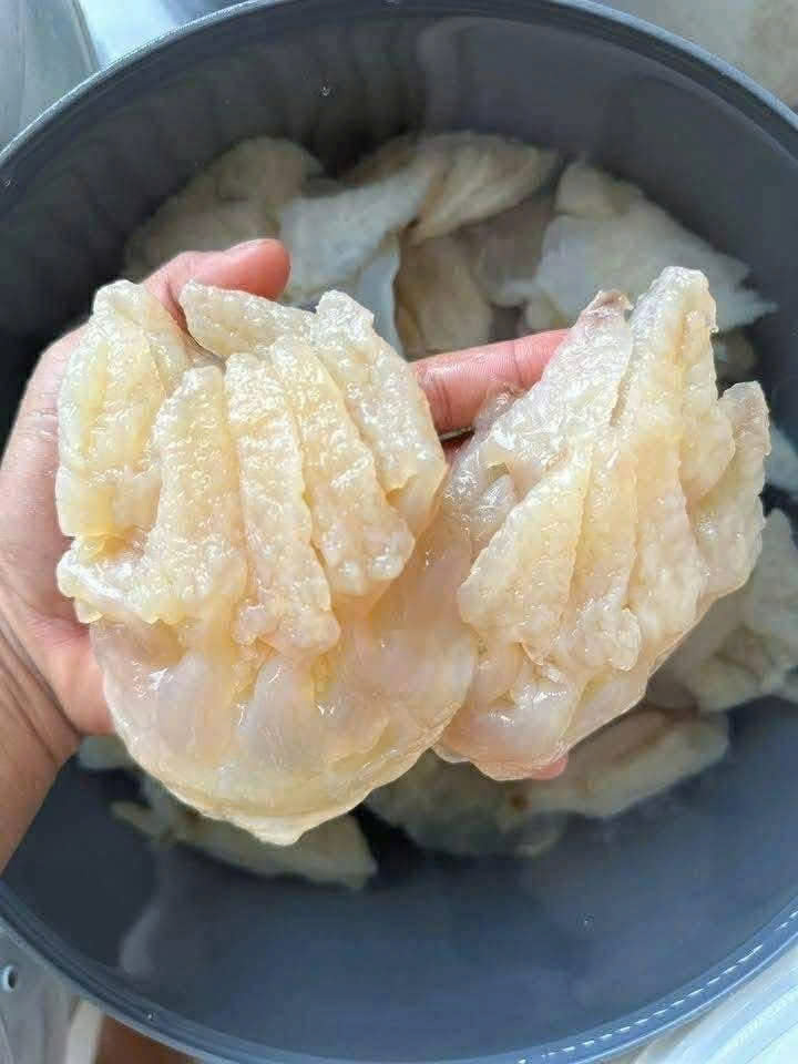 Sứa Chân Mèo - Bịch 500g luôn nước 1kg ( GIAO HCM )