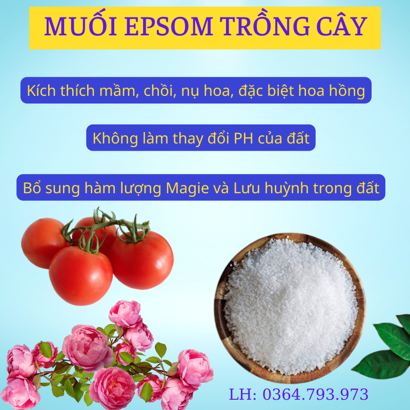 Muối epsom dùng trong nông nghiệp–Giúp xanh lá–tăng sức chịu sâu bệnh-muối epsom trồng cây loại hạt