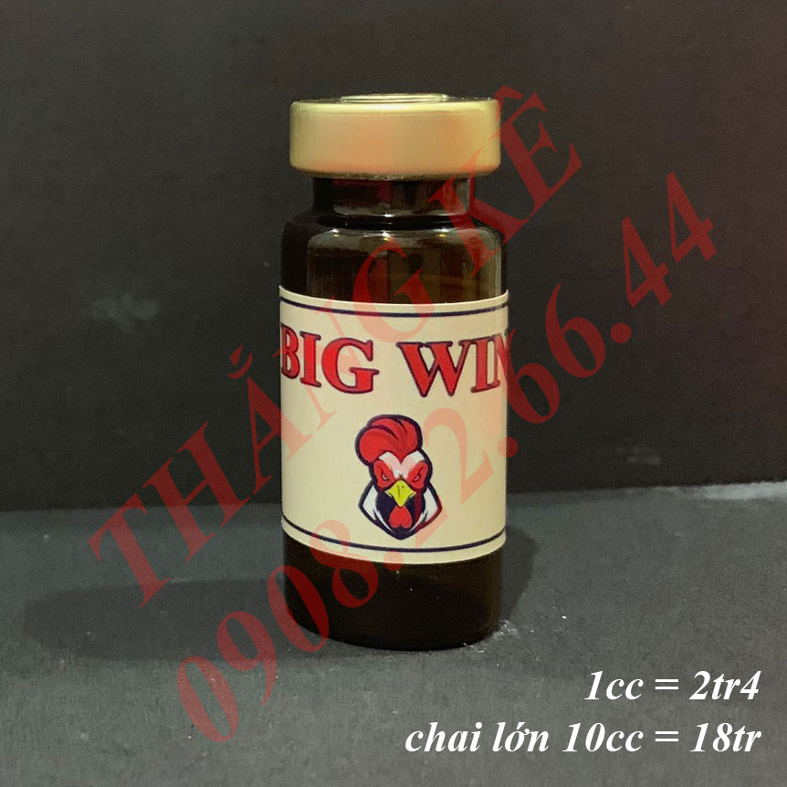 Big Win - Thuoc chích đá tiền lớn - nhập khẩu Mỹ