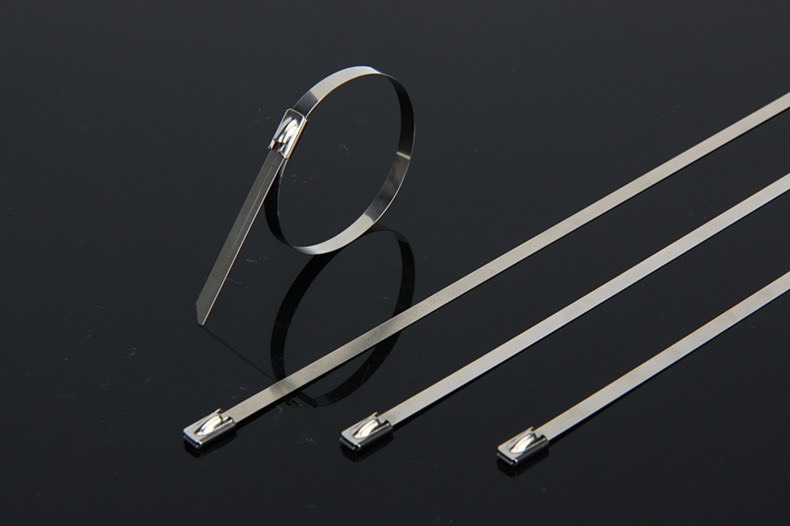 Dây siết đai láp, siết cổ dê inox 20cm x 4.6mm túi 100 cái