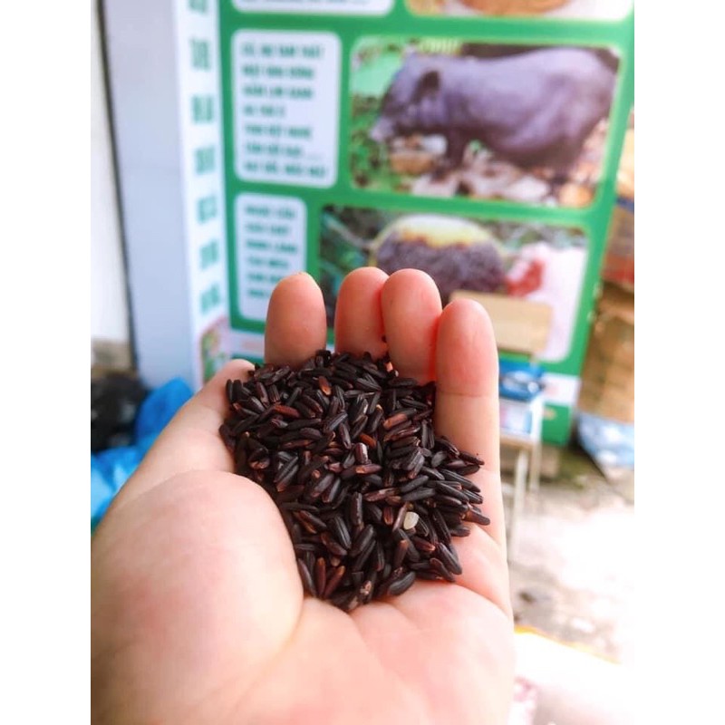 Gạo lứt đen giảm cân Phúc Thọ