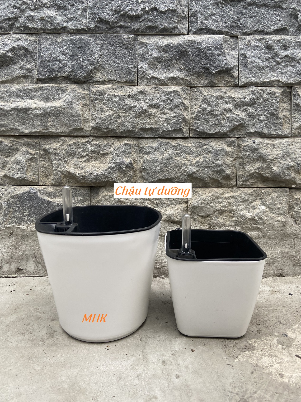 Chậu tự dưỡng Việt Nam màu trắng , chậu thông minh , chậu tự tưới ! 2 size