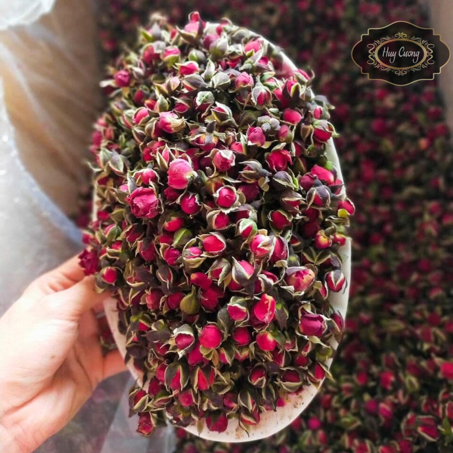 Trà nụ hoa hồng khô Tây Tạng, sấy lạnh thượng hạng giúp đẹp da, tăng cường sức khoẻ, ngủ ngon giấc. Nụ hồng khô hữu cơ organic uống trà Đà Lạt