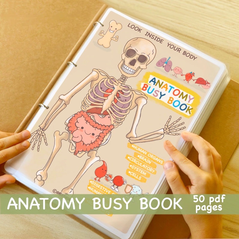 -Bộ cơ thể người-Anatomy busy book-matching book-quiet book- học liệu cho bé