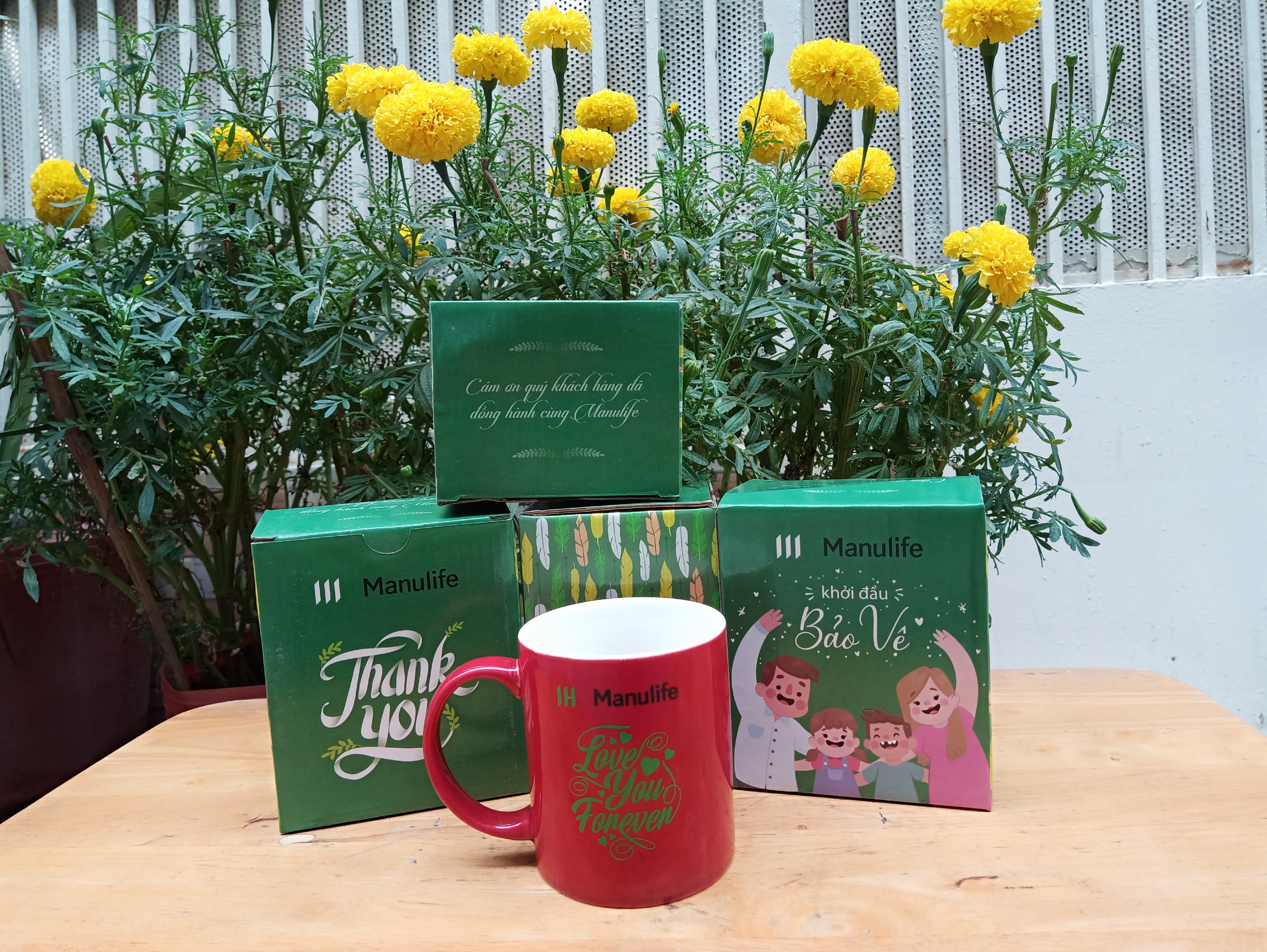 Ly sứ quà tặng Manulife có kèm hộp