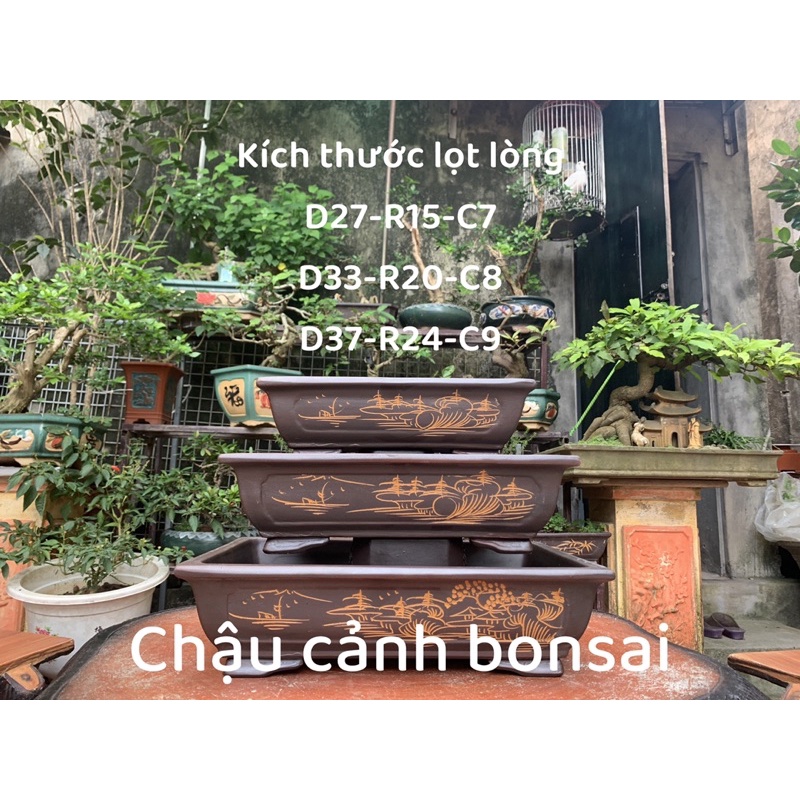 Chậu chữ nhật trồng cây bonsai