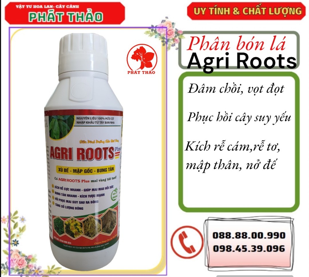 Phân bón lá agri roots plus 1lít, phục hồi mai suy, kích rễ cực mạnh, bung đọt đẻ nhánh