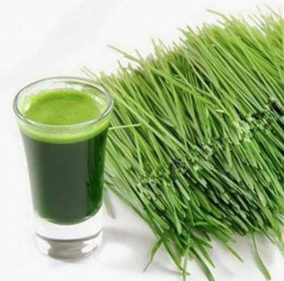 Bột Lúa Mạch Non Grass Barley Nhật Bản