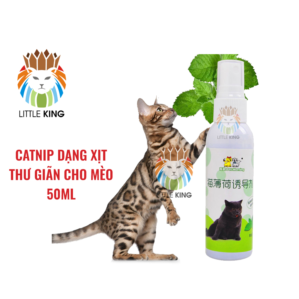 Catnip dạng xịt cho mèo trưởng thành giúp mèo thư giãn, catnip dạng nước 50ml Little King pet shop