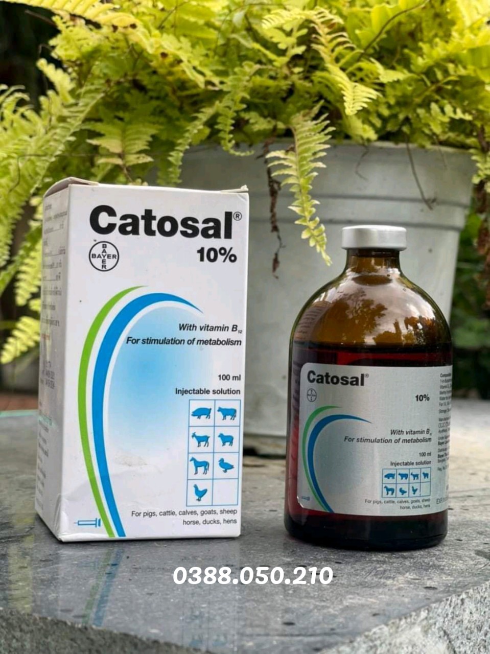 Catosal 100ml thái lan - dinh dưỡng bồi bổ cho gia súc gia cầm, tăng sinh lực, tăng sức đề kháng