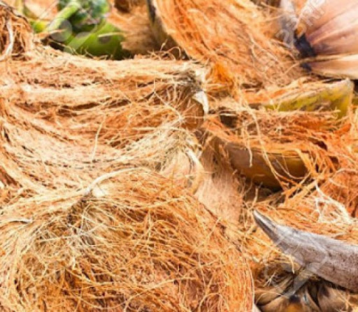 Sơ dừa miếng dùng trồng lan 100g