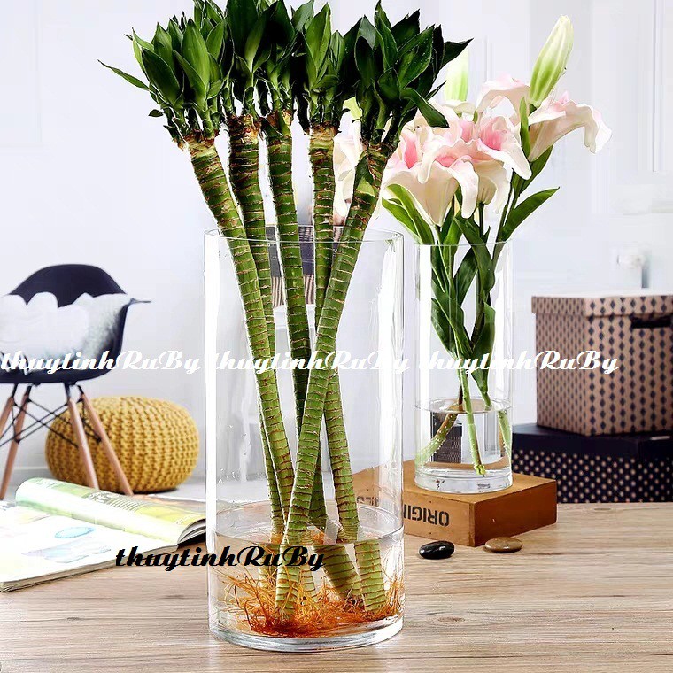 Bình bông lọ hoa thủy tinh hồ cá mini, bình cắm hoa thủy tinh trụ