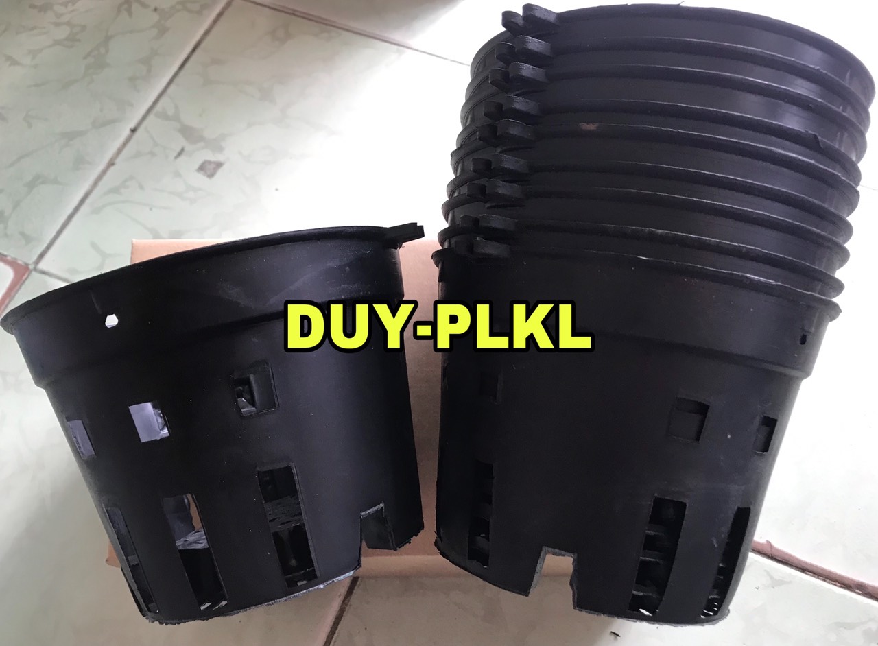 Chậu trồng lan - 10 cái chậu nhựa đen trồng lan size 16cm. chậu đen trồng lan phi 16.