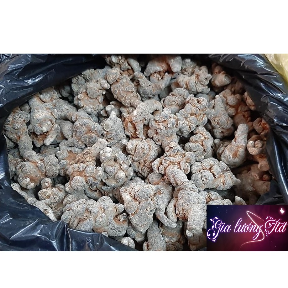 Củ tam thất bắc của " Gia Lương tích thiện đường" 150k/lạng