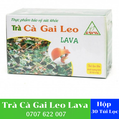 Trà Cà Gai Leo Lava (hộp 30 túi lọc)- Hỗ Trợ Điều Trị Về Viêm Gan, Men Gan Tăng Cao