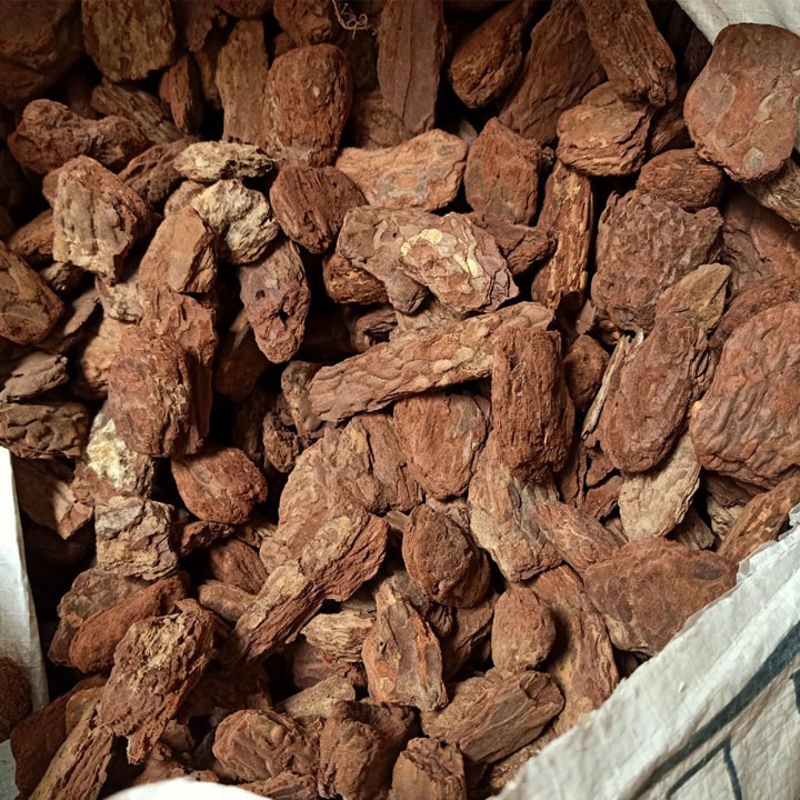 (Nhiều size) 1kg Vỏ thông đã mài cạnh, khử nấm, xả chát trồng lan - Giá thể trồng hoa lan các kích thước đã được bào cạnh xử lý sẵn