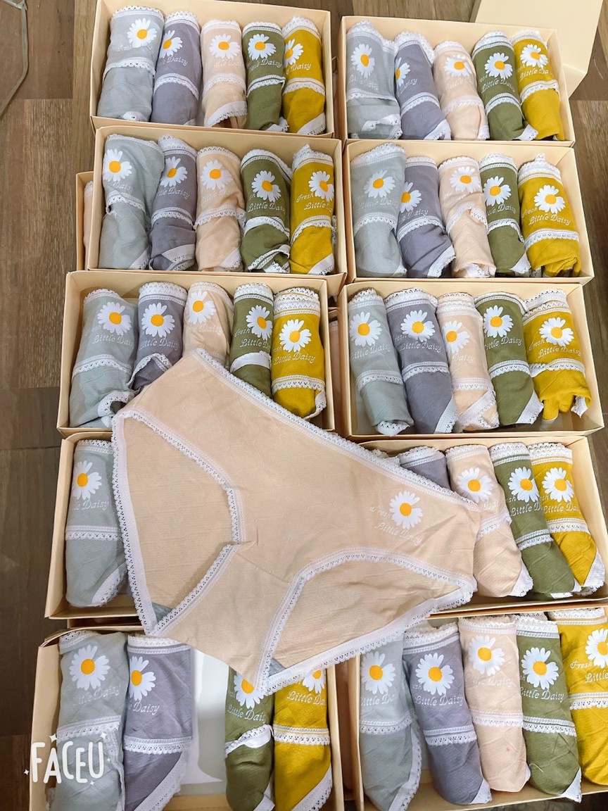 Combo 7quần lót nữ, quần lót cotton thông hơi cúc họa mi kháng khuẩn