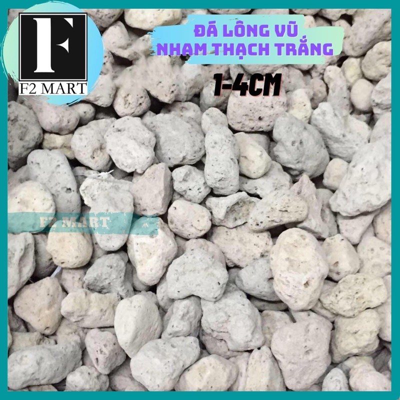 Đá nham thạch trắng | đá lông vũ 1kg