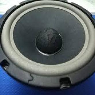 Bộ 2 củ loa bass rời cỡ 25 cao cấp từ 156mm coil 63mm