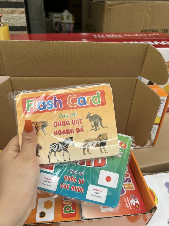 Bộ thẻ Flash Card song ngữ size to