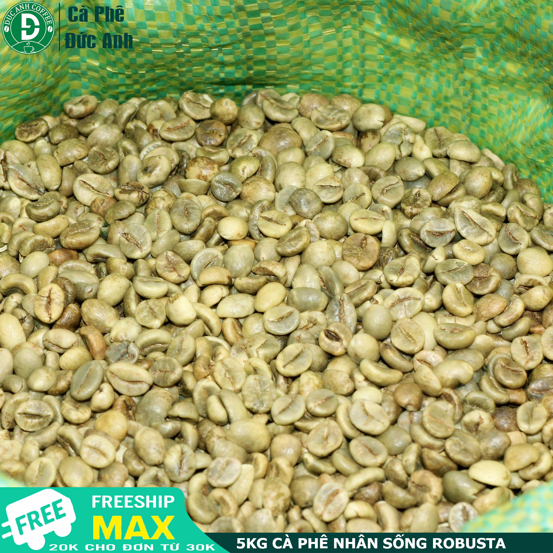 5 kg cà phê nhân sống chưa rang sàn 18 robusta Buôn Ma Thuột - công ty TNHH cà phê ĐỨC ANH