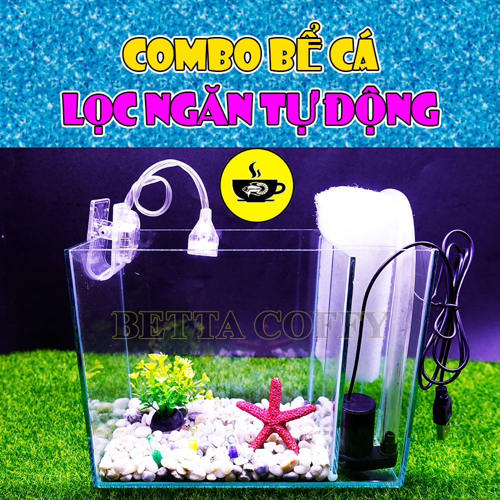 Combo hồ cá mini 2015cm + phụ kiện đèn lọc cây sỏi trang trí bể cá bằng kính