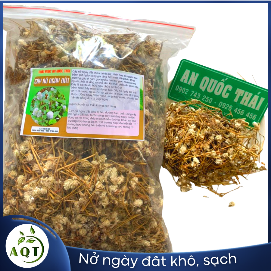 1kg cây nở ngày đất khô hỗ trợ người bệnh gout, ổn định đường huyết, cam kết hàng sạch, mới