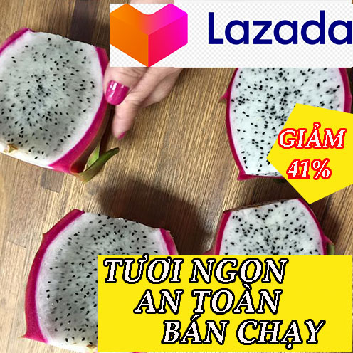 5 kg trái thanh long ruột trắng hữu cơ