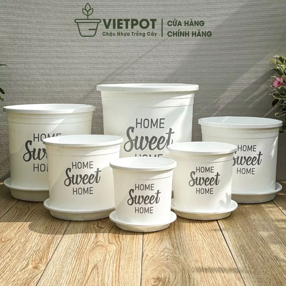 Chậu nhựa trồng cây VIETPOT, màu trắng, hoa văn Sweet Home, trồng hoa kiểng lá, để nhà, sân vườn.