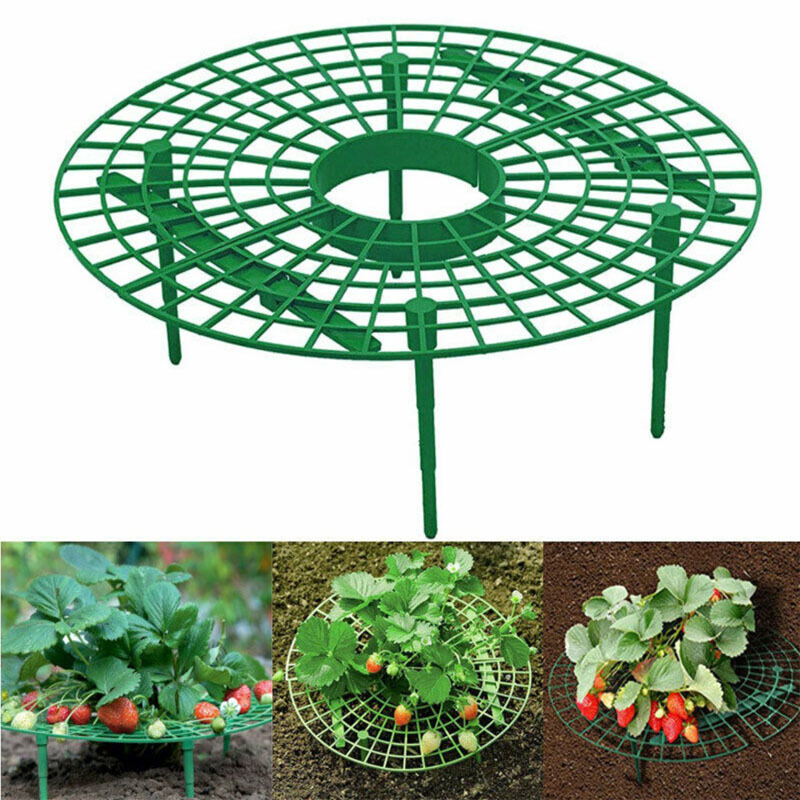 Khung giàn giá đỡ trồng dâu tây ama93