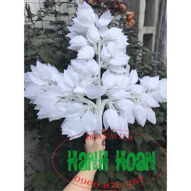 Sỉ bó 10 Cành lá si trắng - Lá giả