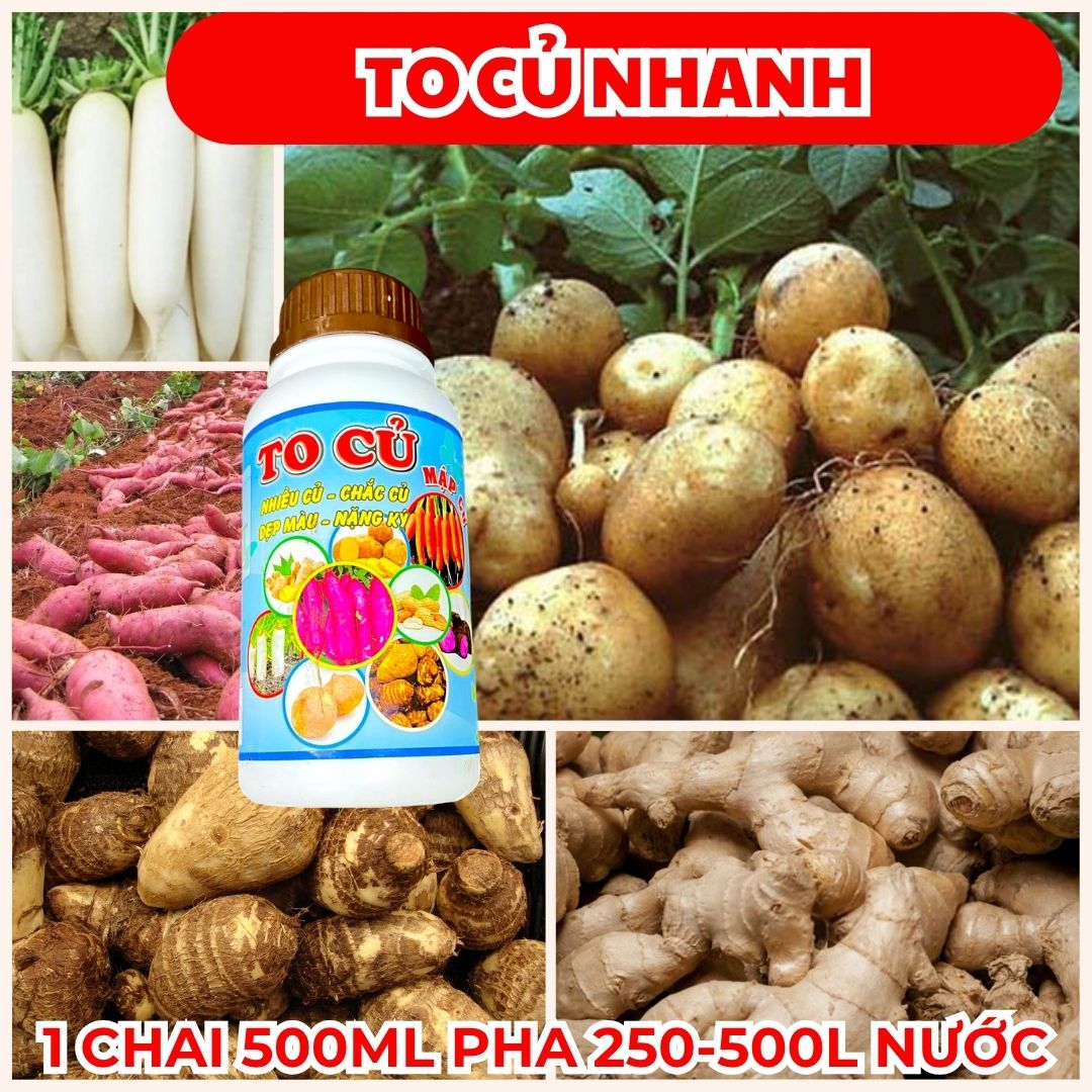 Phân Bón Lá To Củ- Mập Củ - Xuống Củ Nhanh - Đẹp Màu Nặng Ký - Dưỡng Củ Khoai Lang, Củ Cải, Cà Rốt, Đậu Phộng, Khoai Tây