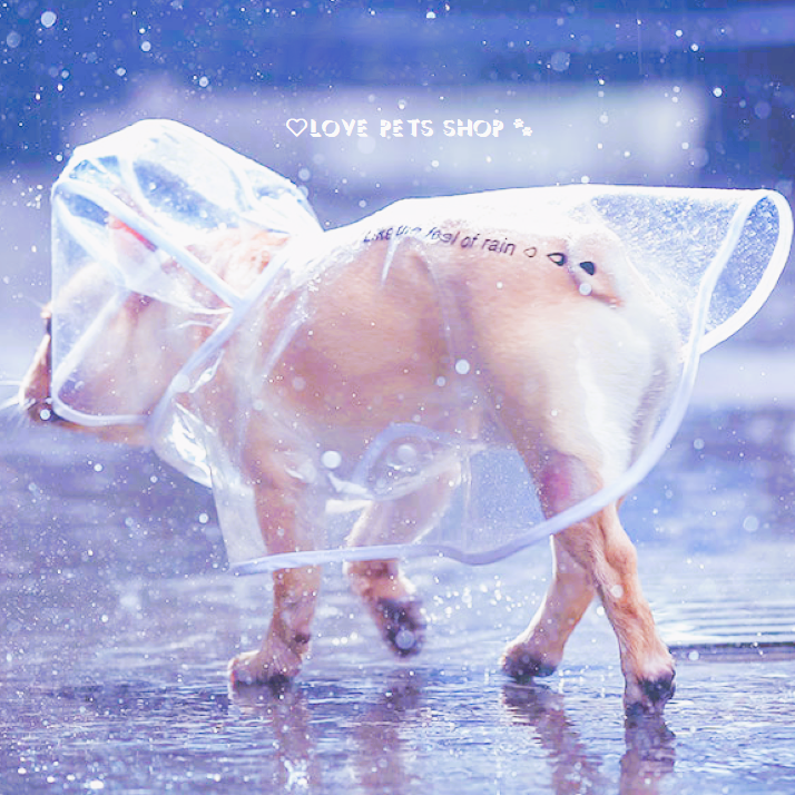 Áo mưa cho Chó Mèo bằng màng nhựa EVA trong suốt bọc viền - Love Pets Shop