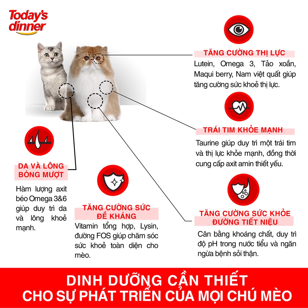 Thức ăn hạt cho mèo mọi lứa tuổi Today's Dinner Hàn Quốc 40Gr
