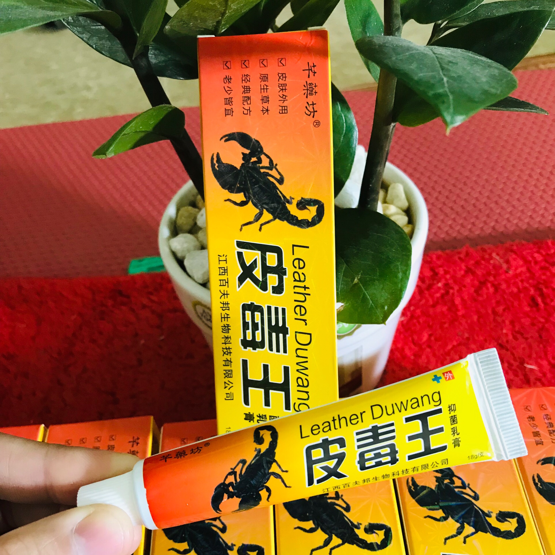 Kem bôi hắc lào, nấm ngứa, viêm da, viêm da cơ địa, mề đay, tổ đỉa, chàm sữa tip 18gr