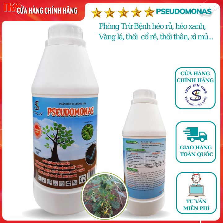 PSEUDOMONAS Chế Phẩm Vi Sinh Trừ Bệnh Héo Xanh, Vàng Lá, Thối Rễ - Chai 1 Lít