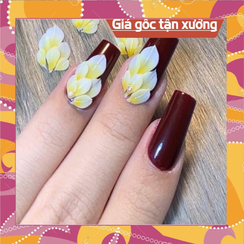 Hoa bột gắn móng hoa bột giá sỉ
