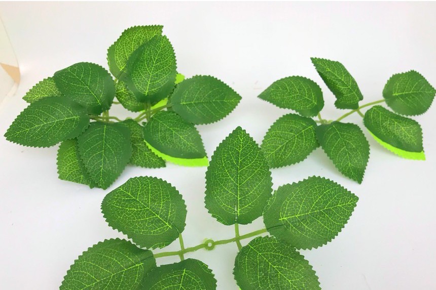 Hoa giả - 10 lá hồng gân