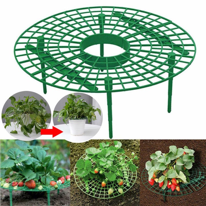 Giá đỡ dâu chuyên đỡ trái dâu rau các loại