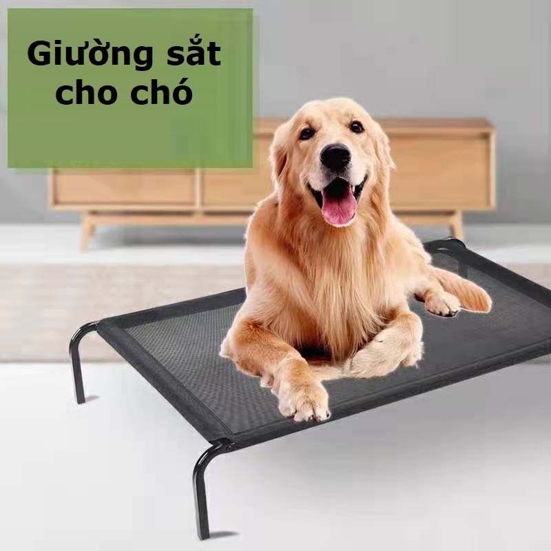 Hanpet - . - Giường chó mèo khung sắt có thể gấp gọn / giường nằm Giường sắt chó chó / giường ngủ có thể dùng cho thú cưng / giường ngủ chó mèo chịu lực / nhà chó / nệm mèo / nhà giường nệm chó mèo