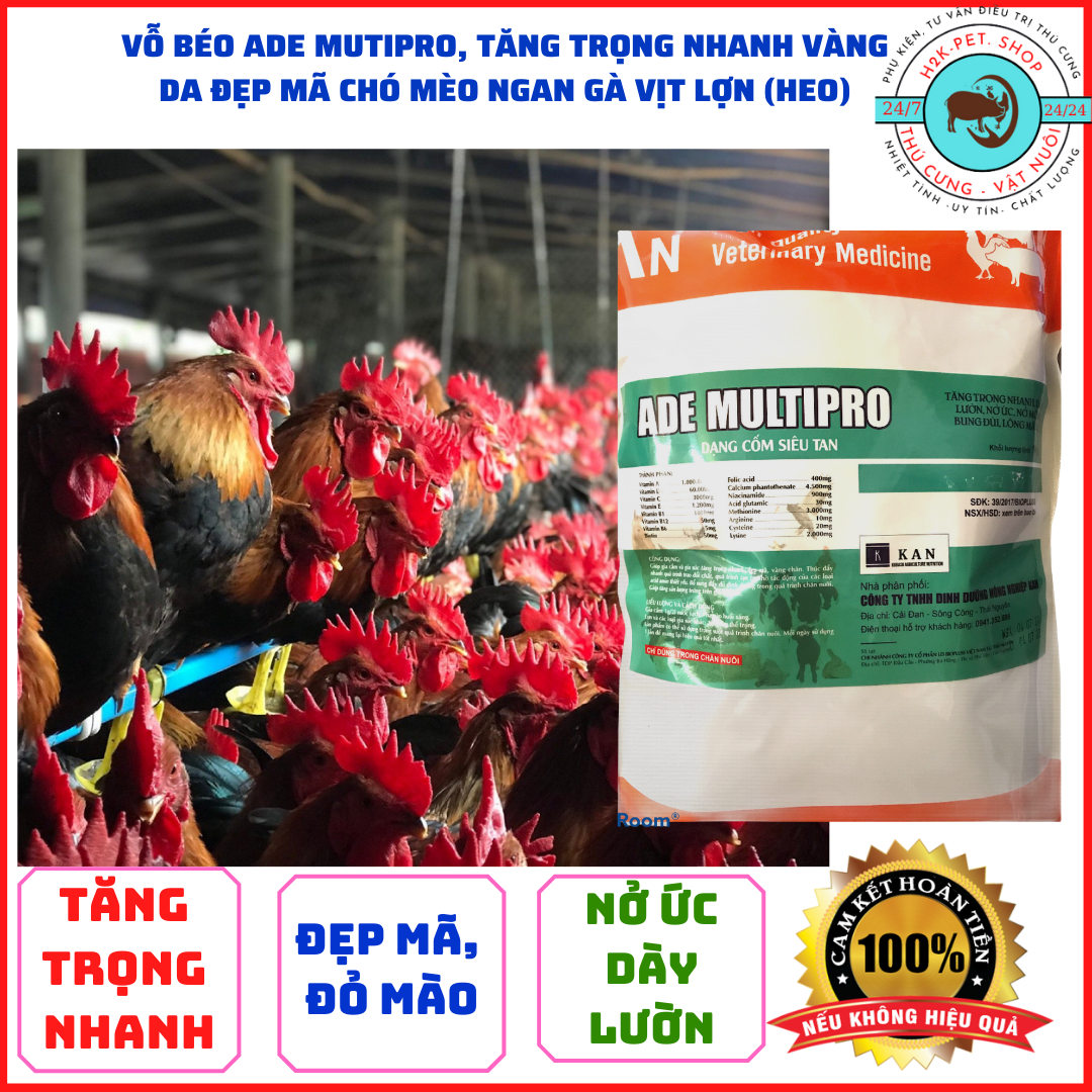 Vỗ béo tăng trọng nhanh, dày lườn, nở ức, bung lông bật cựa cho gia súc gia cầm ADE dạng cốm siêu tan gói 1kg